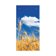 Газовая колонка Нева - 4510 Glass